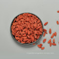 High quality health dried wolfberry fruits red chinese goji berry